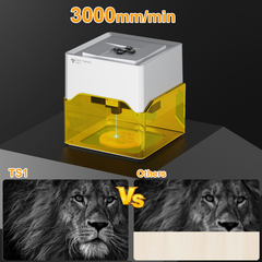 TWOTREES TS1 Mini Min Laser Marking Portable Wood Carving Machine for Leaves, Wood Boards, Aluminum Name Cards, Engraving